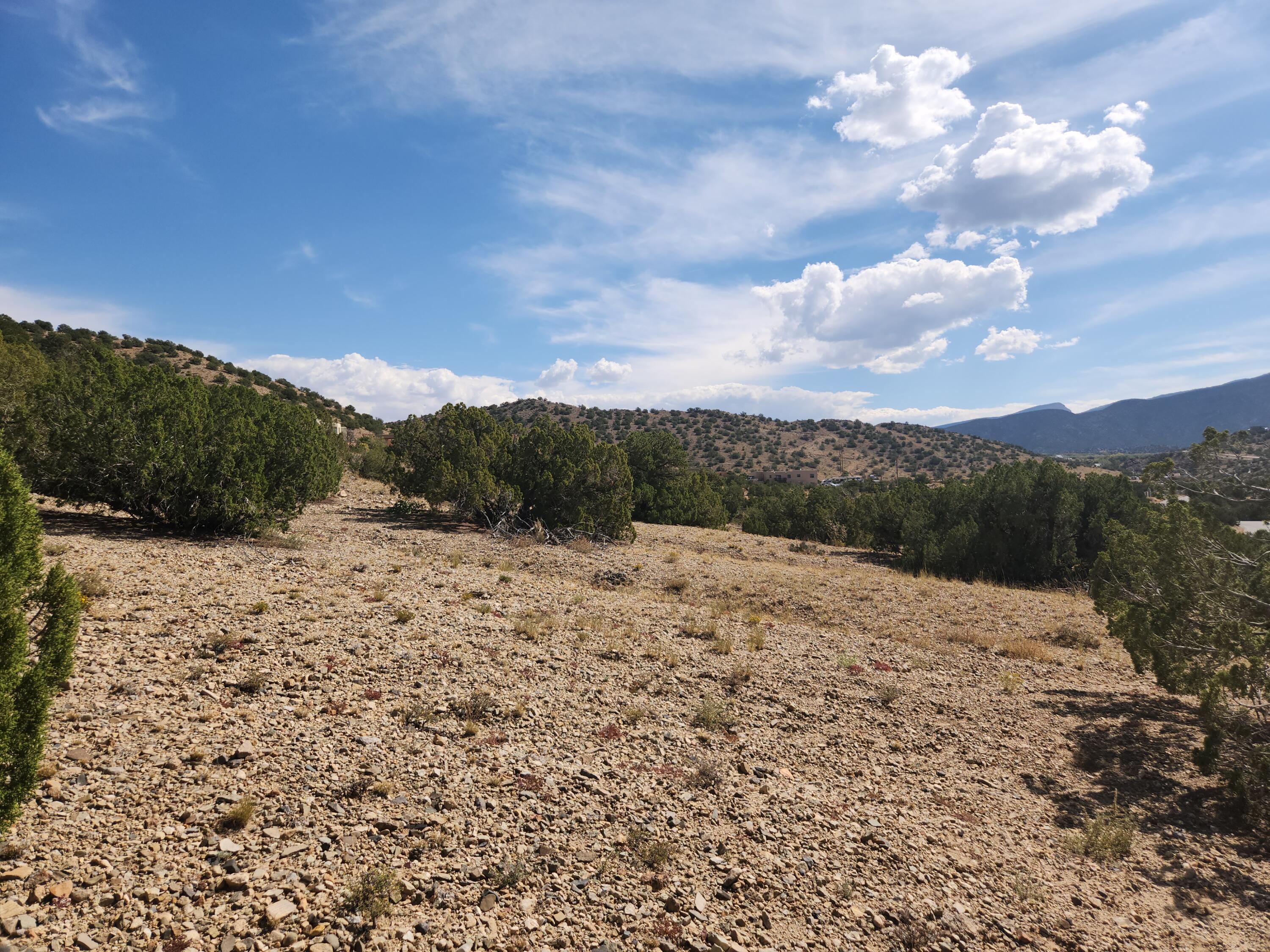 154 Camino De Las Huertas, Placitas, New Mexico image 10