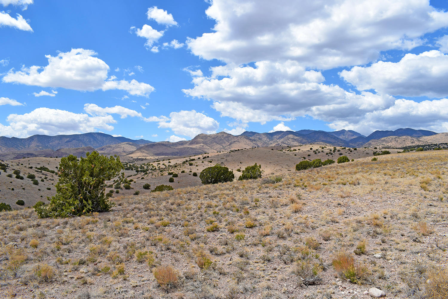 7 Ryan Hill Canyon Road, San Antonio, New Mexico image 15