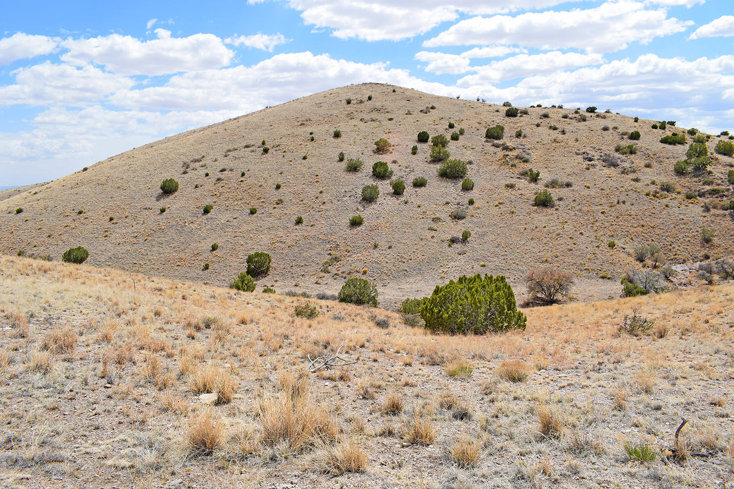 7 Ryan Hill Canyon Road, San Antonio, New Mexico image 46