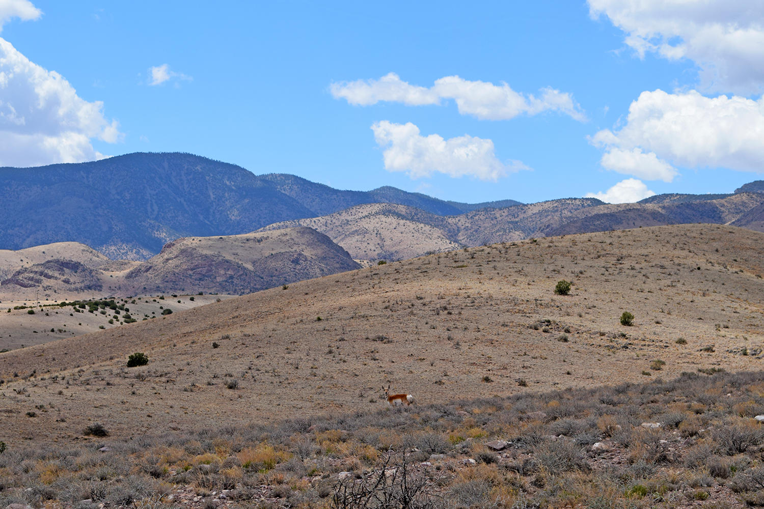 7 Ryan Hill Canyon Road, San Antonio, New Mexico image 6