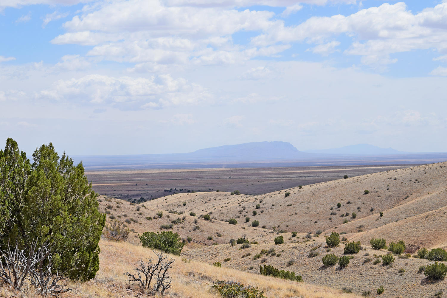 7 Ryan Hill Canyon Road, San Antonio, New Mexico image 41