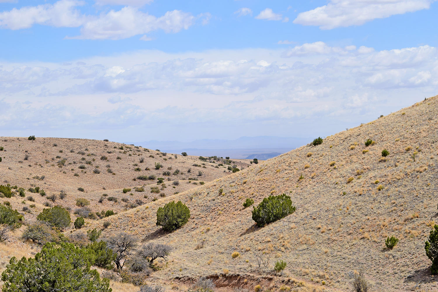 7 Ryan Hill Canyon Road, San Antonio, New Mexico image 47