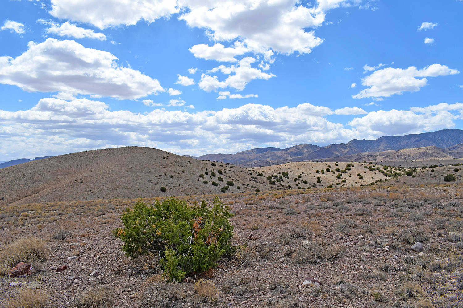 7 Ryan Hill Canyon Road, San Antonio, New Mexico image 17