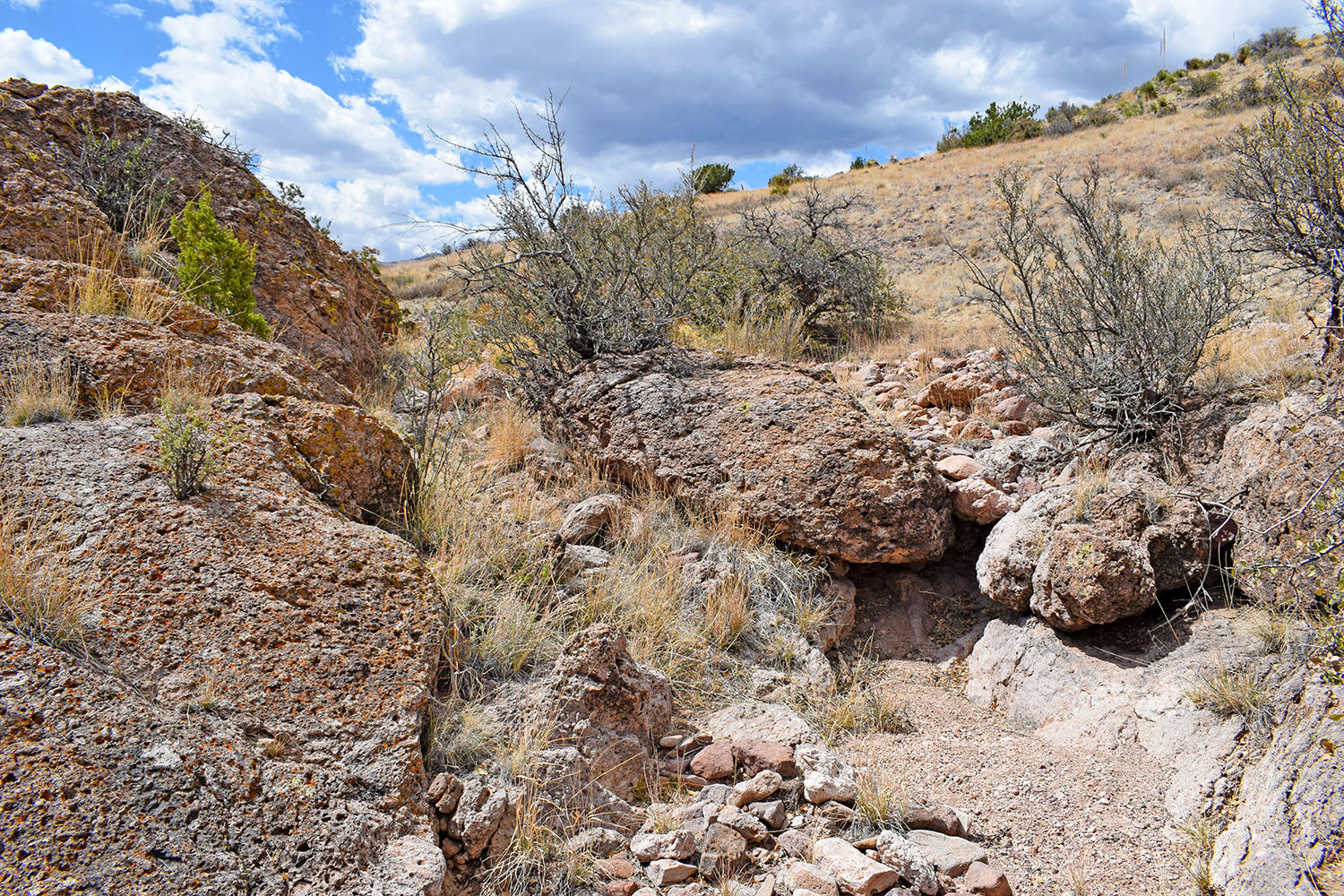 7 Ryan Hill Canyon Road, San Antonio, New Mexico image 50