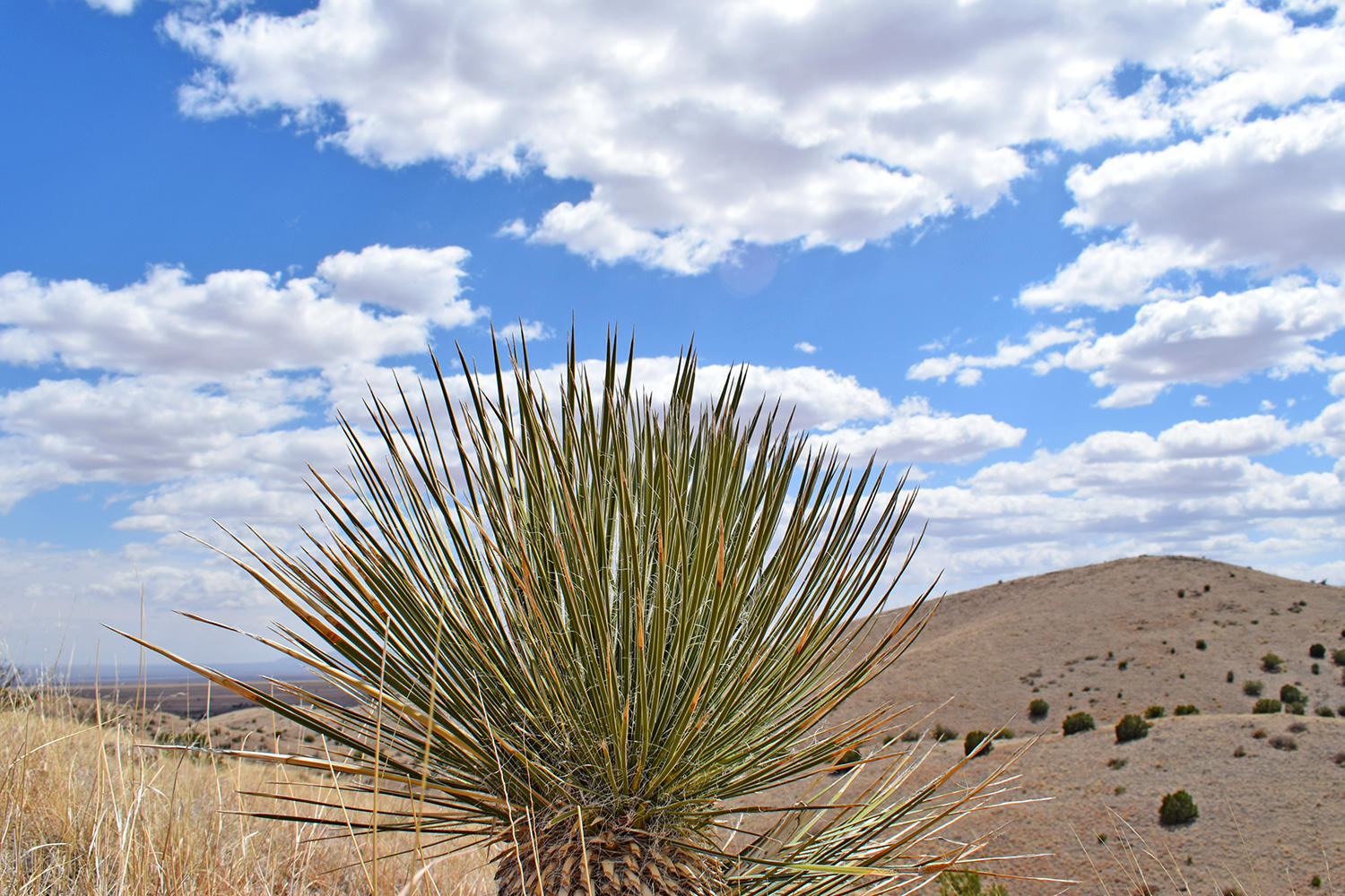 7 Ryan Hill Canyon Road, San Antonio, New Mexico image 42