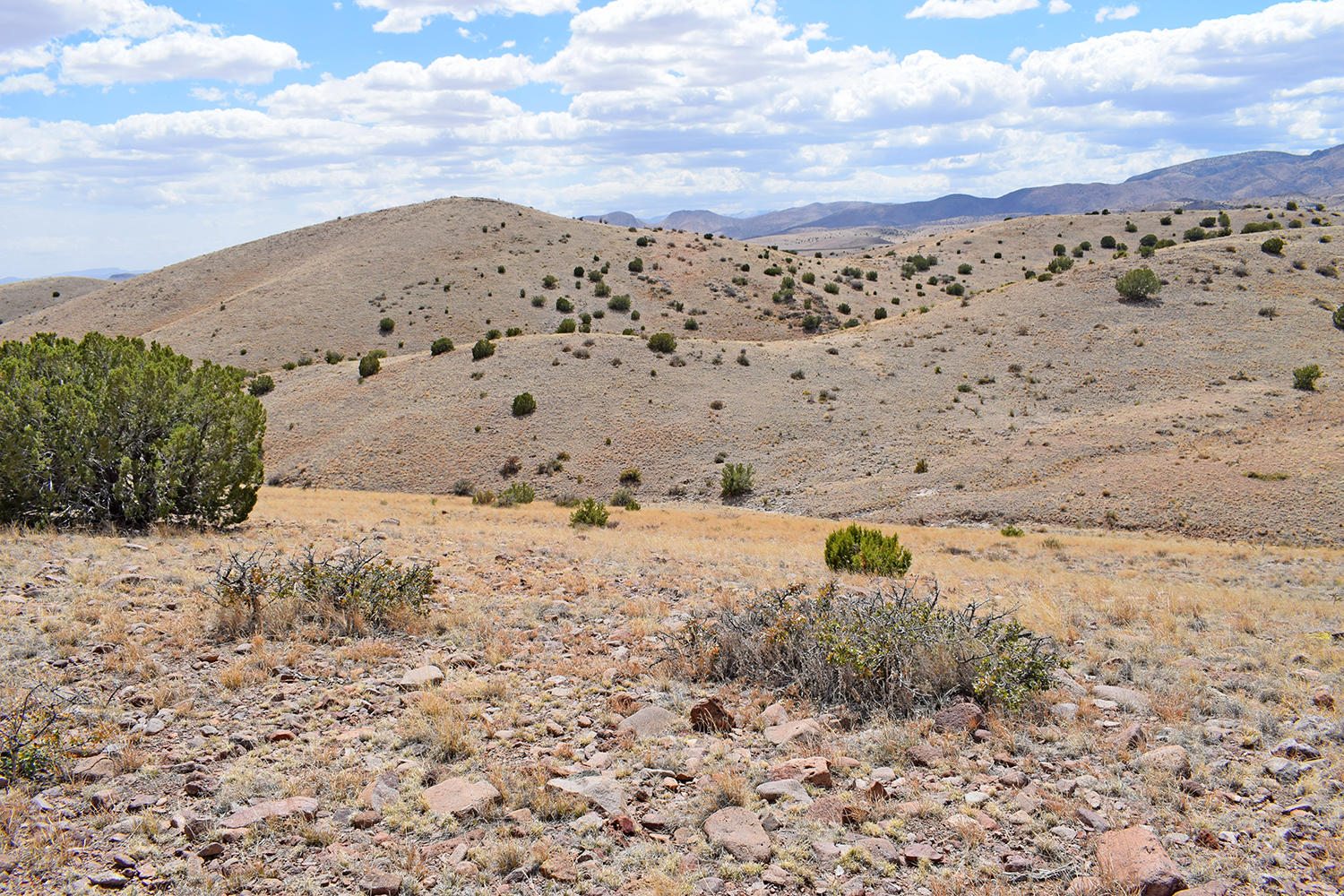 7 Ryan Hill Canyon Road, San Antonio, New Mexico image 39