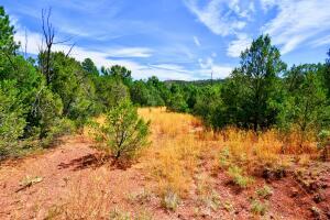 12141 North Hwy  14, Cedar Crest, New Mexico image 12