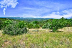 12141 North Hwy  14, Cedar Crest, New Mexico image 2