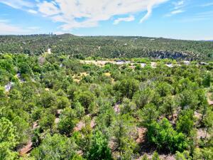 12141 North Hwy  14, Cedar Crest, New Mexico image 31