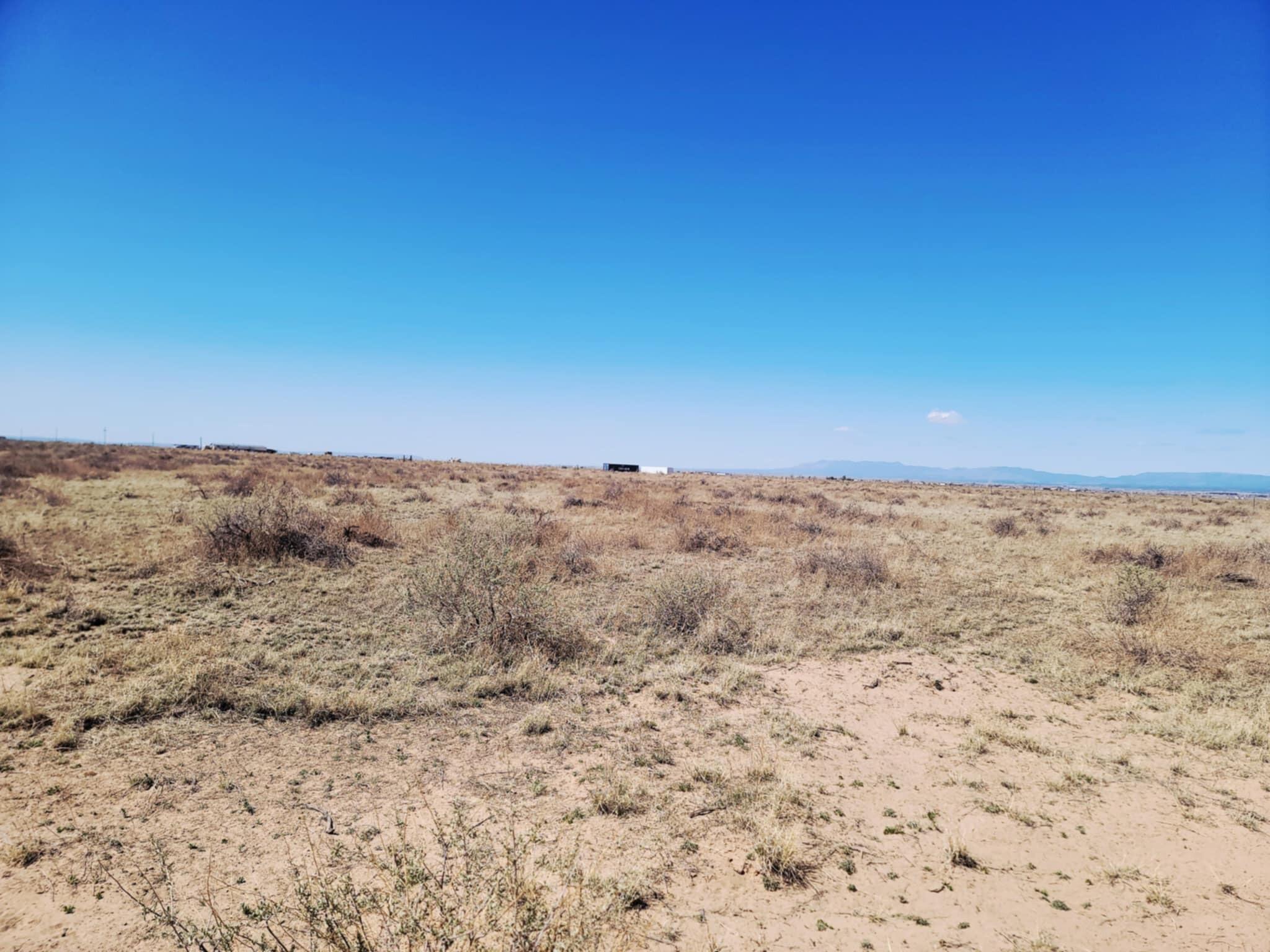 Willow Lake Road, McIntosh, New Mexico image 5