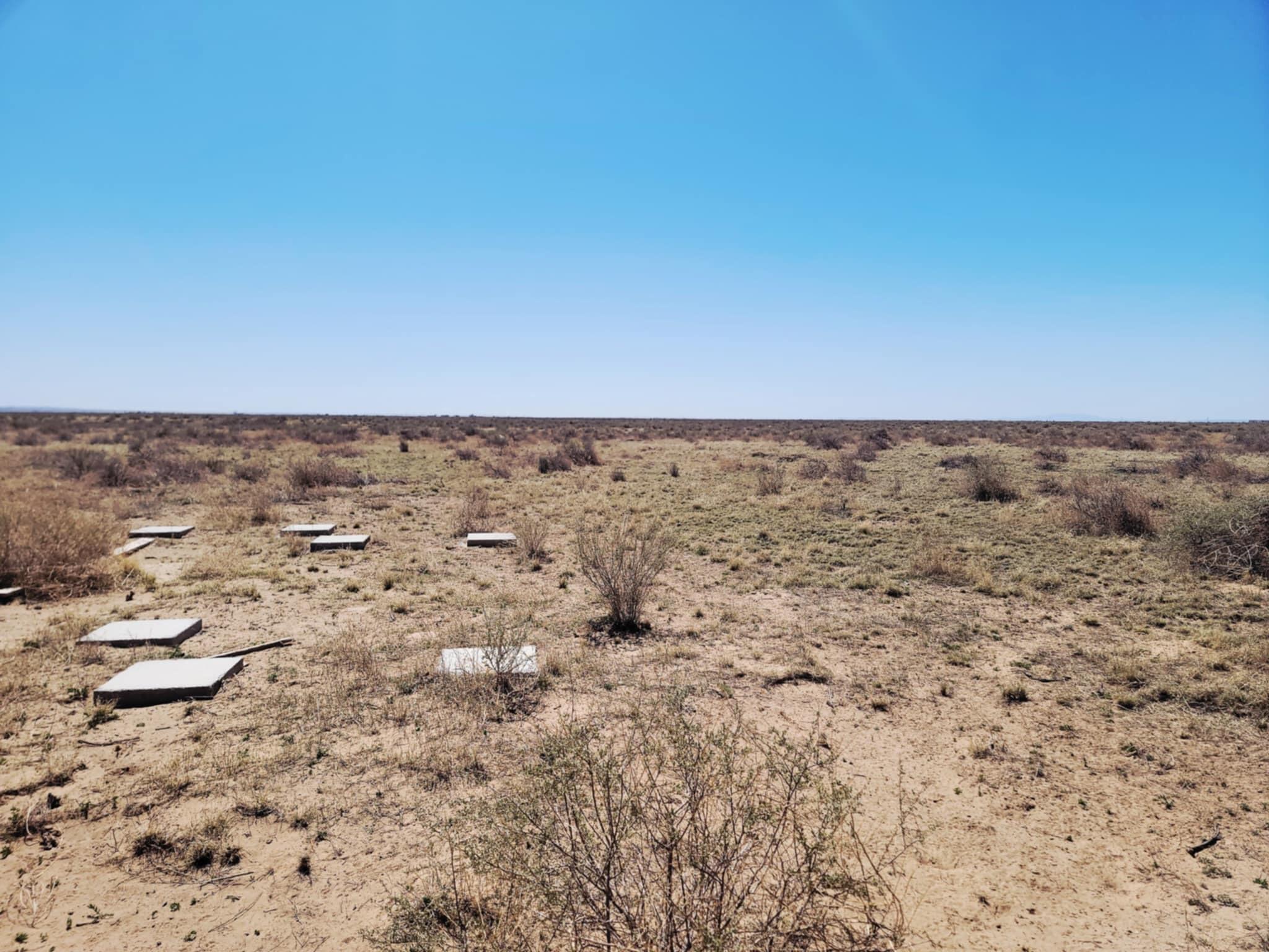 Willow Lake Road, McIntosh, New Mexico image 4