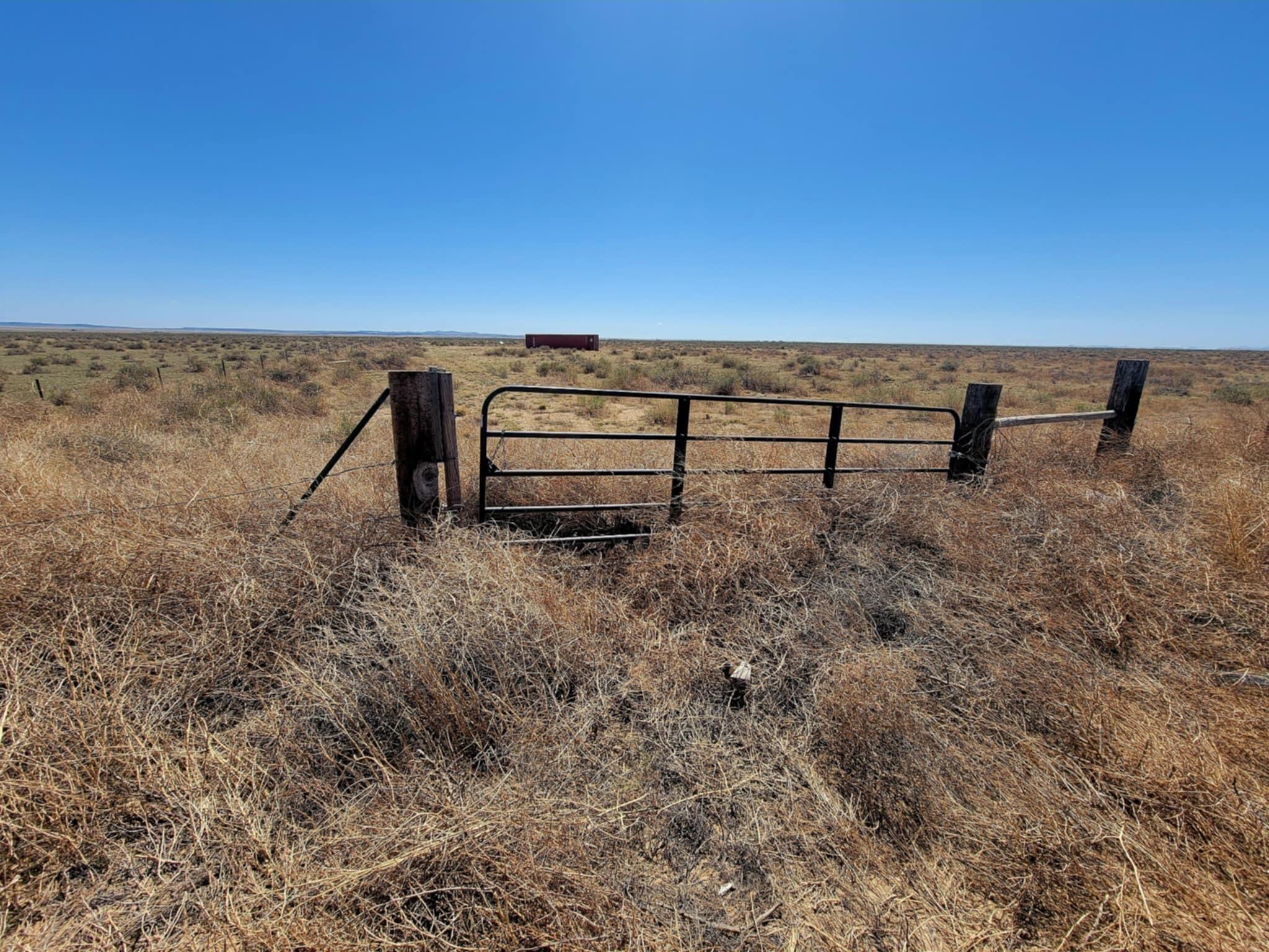 Willow Lake Road, McIntosh, New Mexico image 2