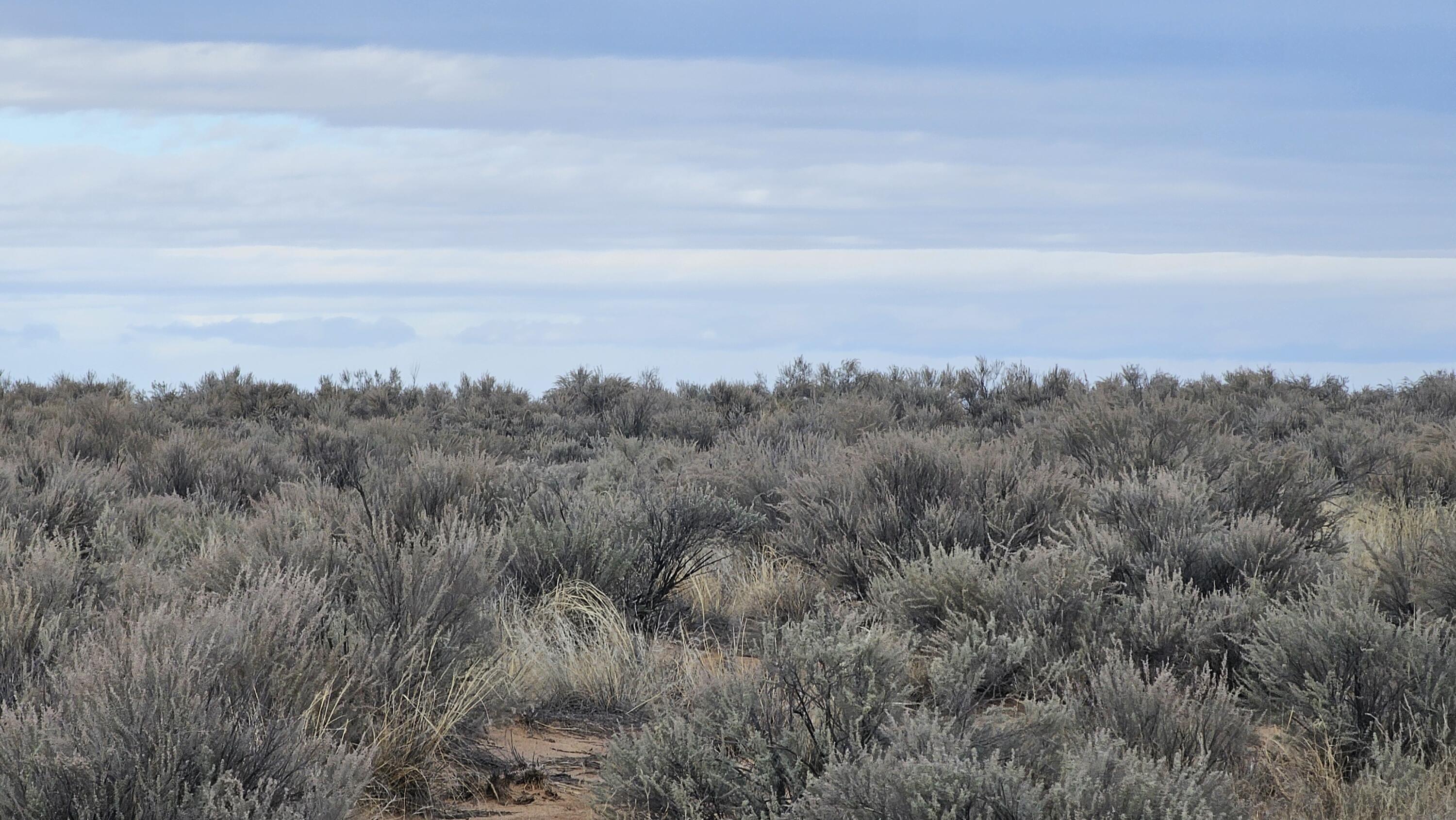 VL Lot 4 Block 79 #13, Belen, New Mexico image 6