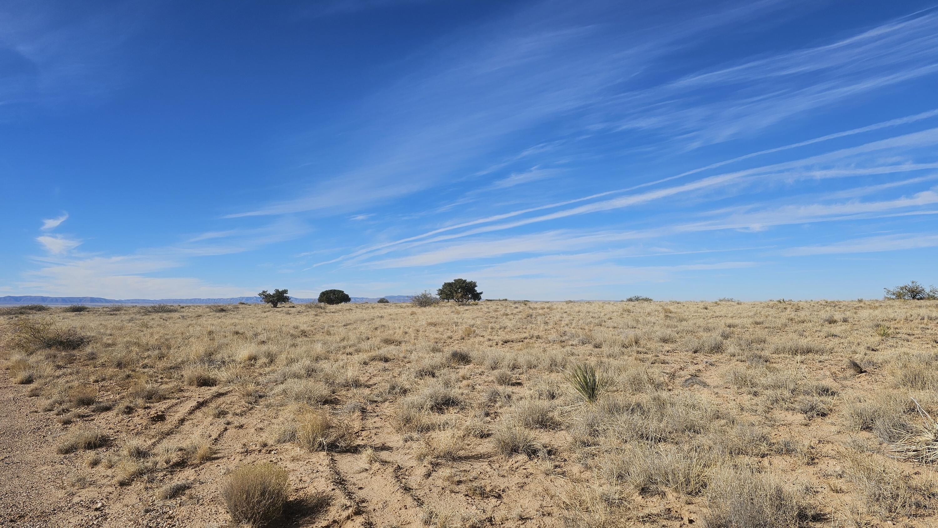 VL Lot 4 Block 79 #13, Belen, New Mexico image 2