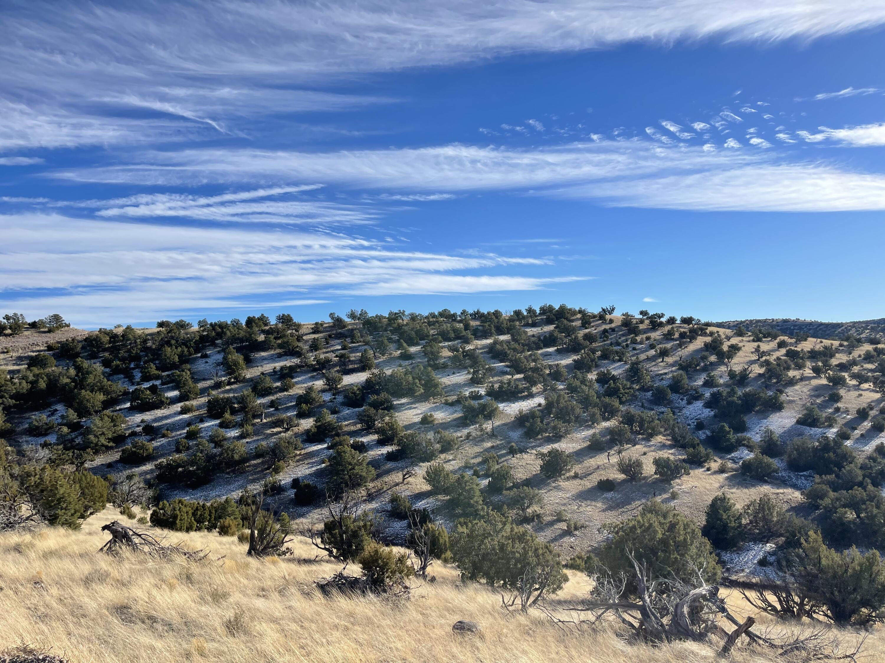 Lot 129 Pinon Springs, Magdalena, New Mexico image 5