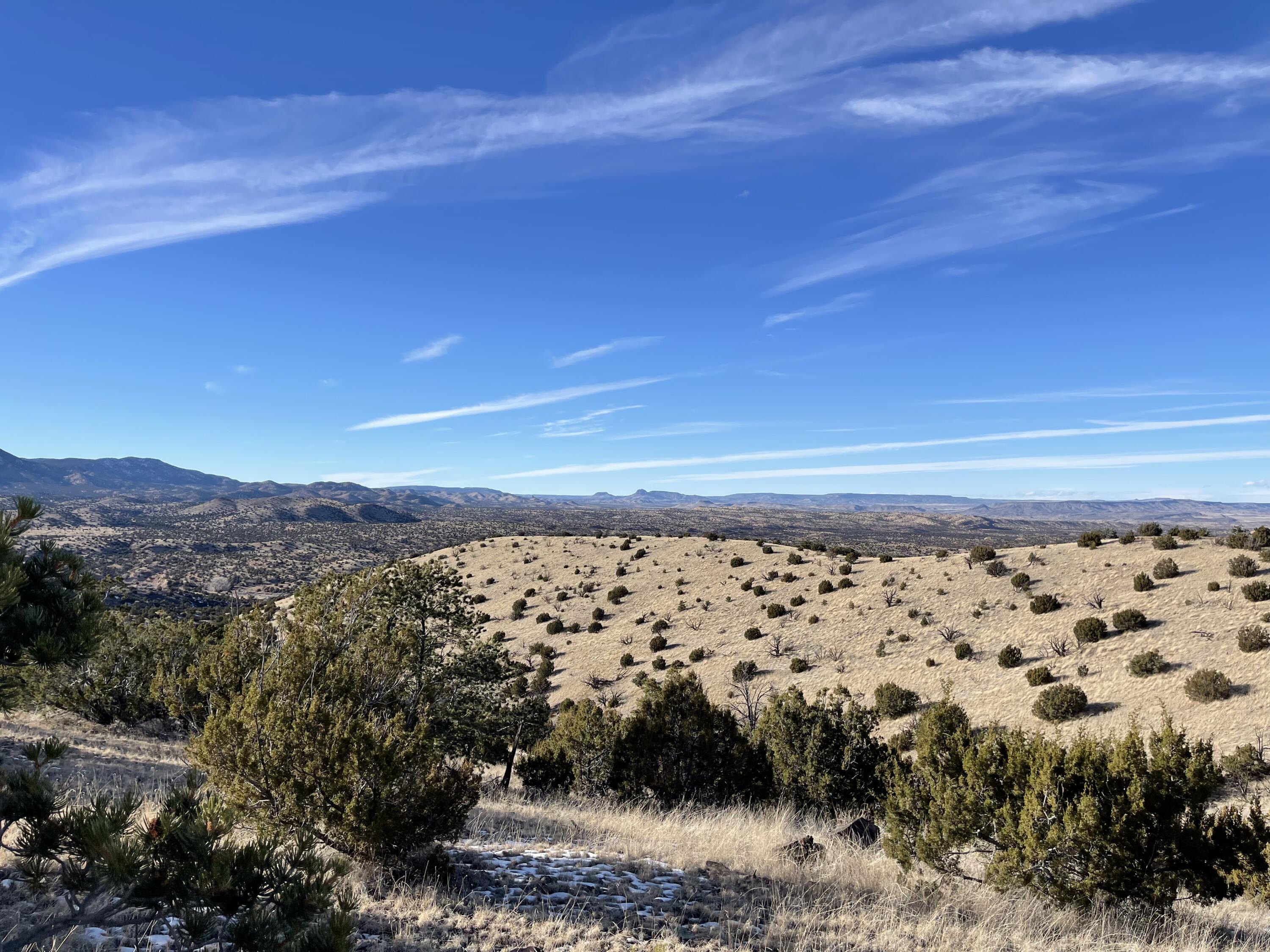 Lot 129 Pinon Springs, Magdalena, New Mexico image 13