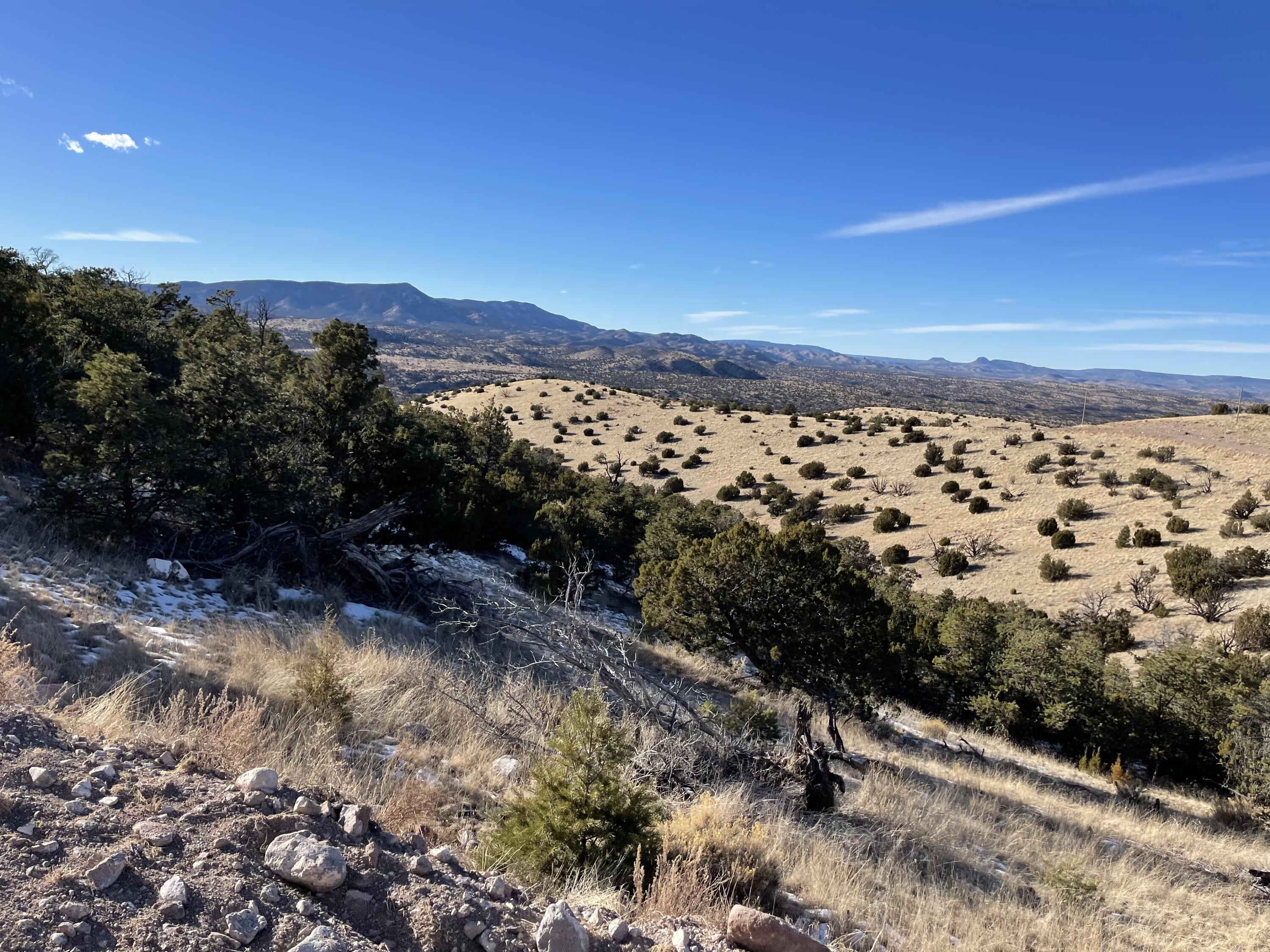 Lot 129 Pinon Springs, Magdalena, New Mexico image 1