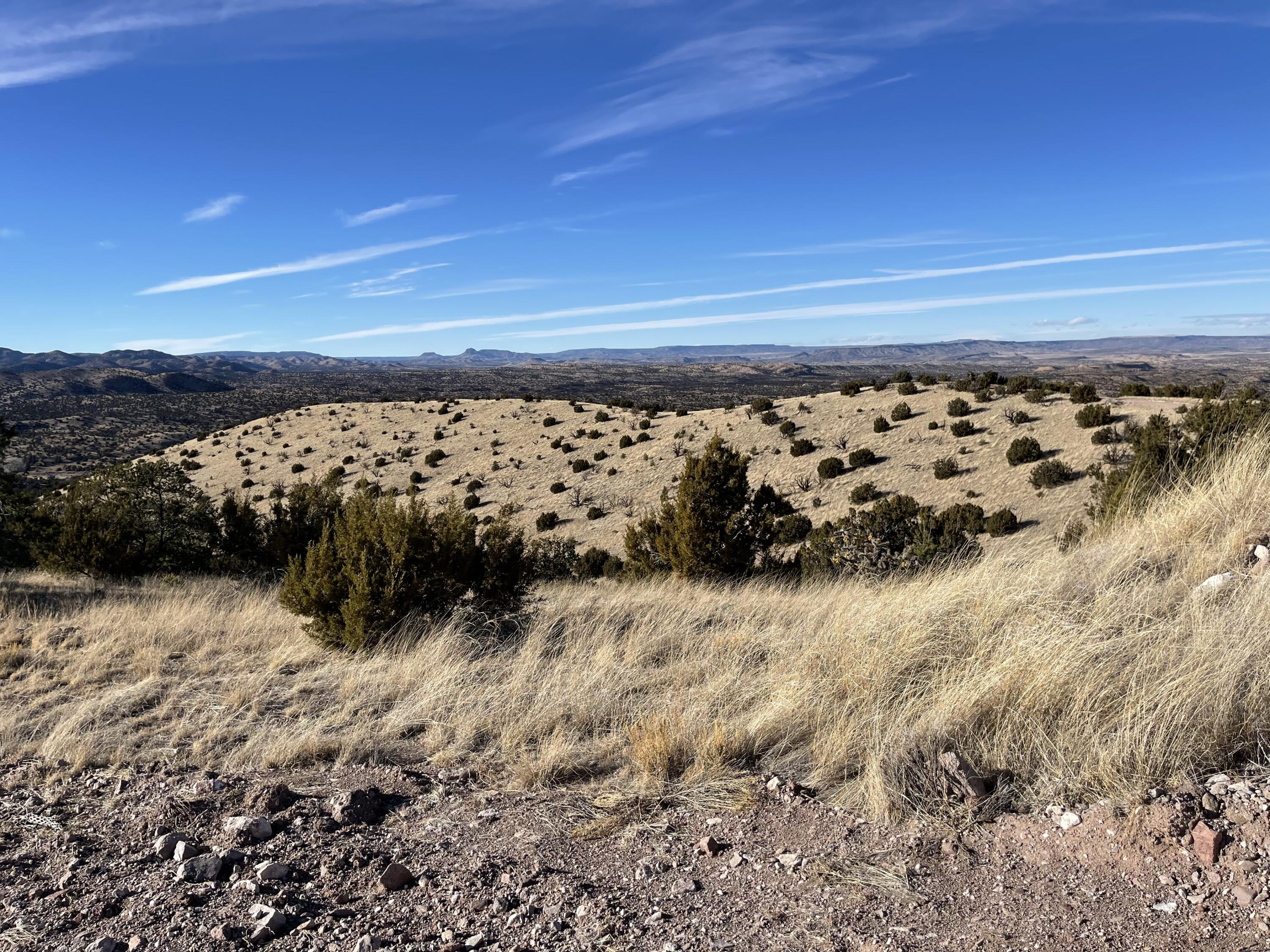 Lot 129 Pinon Springs, Magdalena, New Mexico image 18