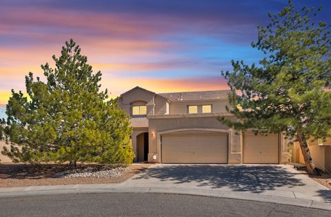 Photo of 3928 Tundra Swan Court NW, Albuquerque, NM 87120 (MLS # 1099023)