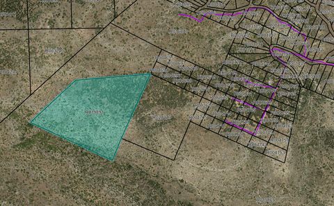 Vacant Land For Sale - Canon Del Pino Road<br/> Torrance County, Estancia, NM 87016
