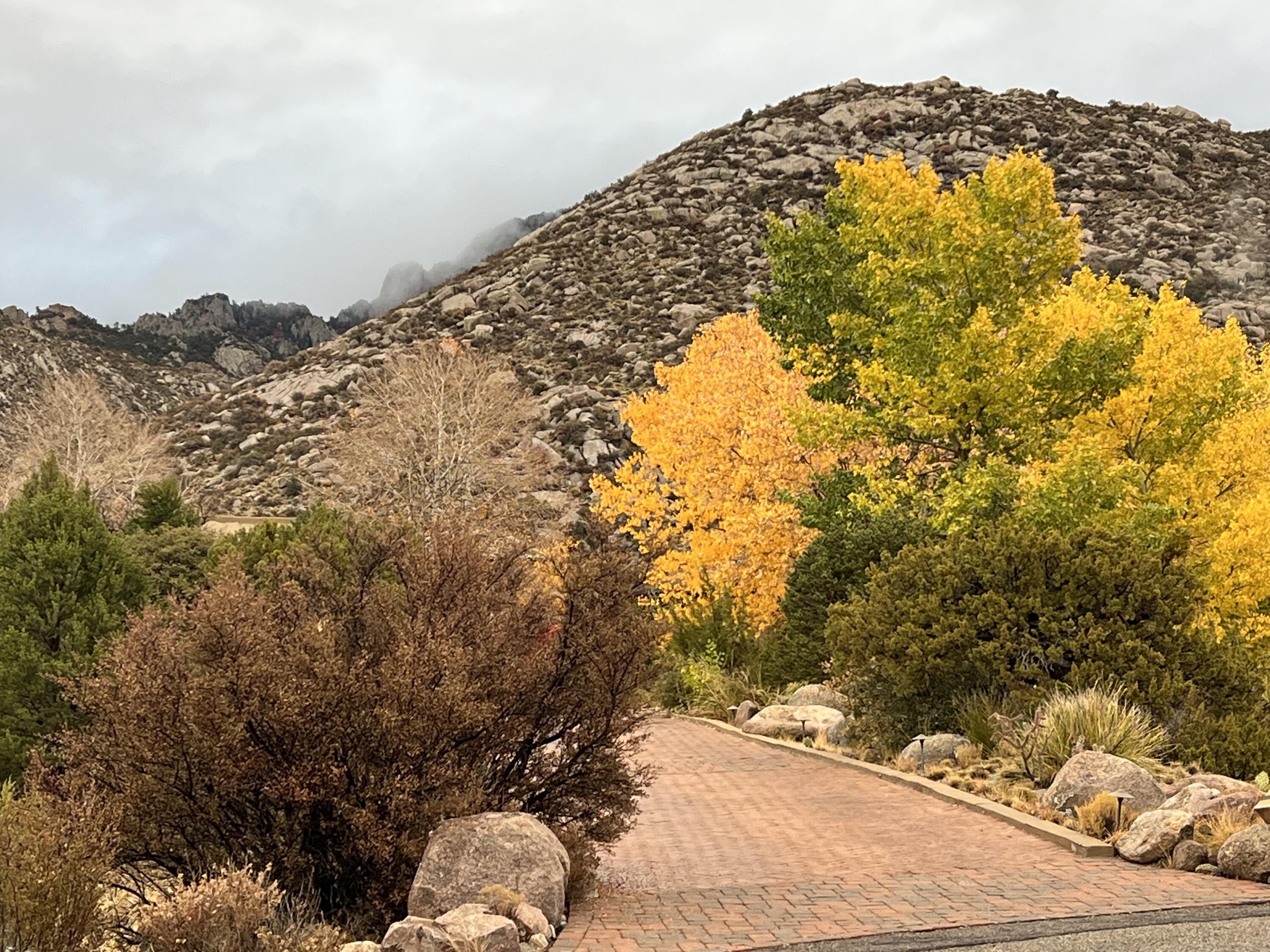 252 SPRING CREEK Place NE