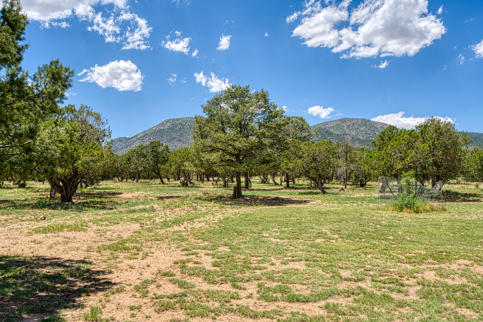 817 Nm 344 #b, Edgewood, New Mexico image 40