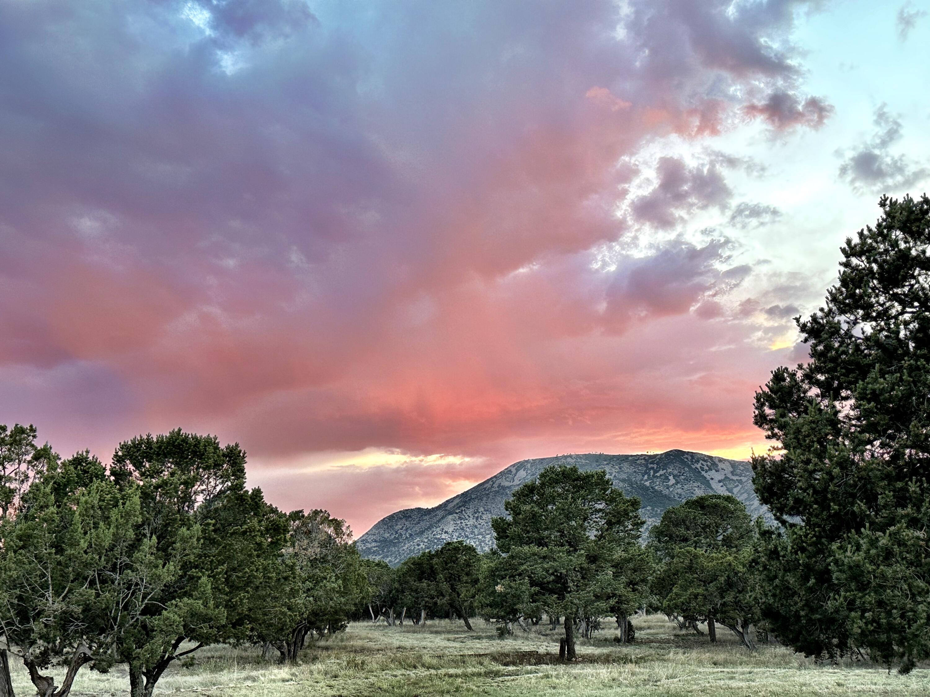 817 Nm 344 #b, Edgewood, New Mexico image 41