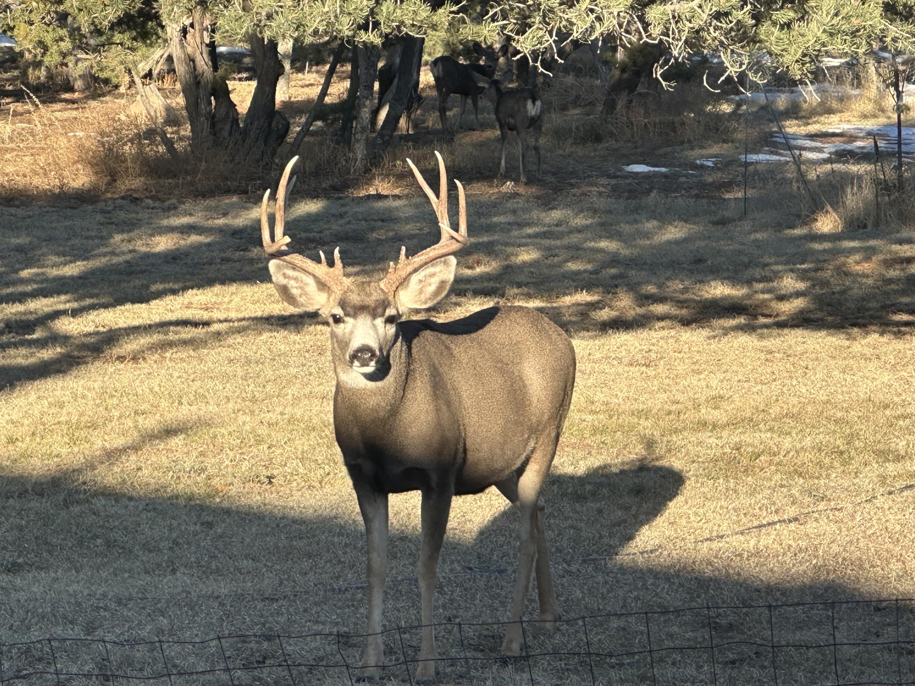 817 Nm 344 #b, Edgewood, New Mexico image 37