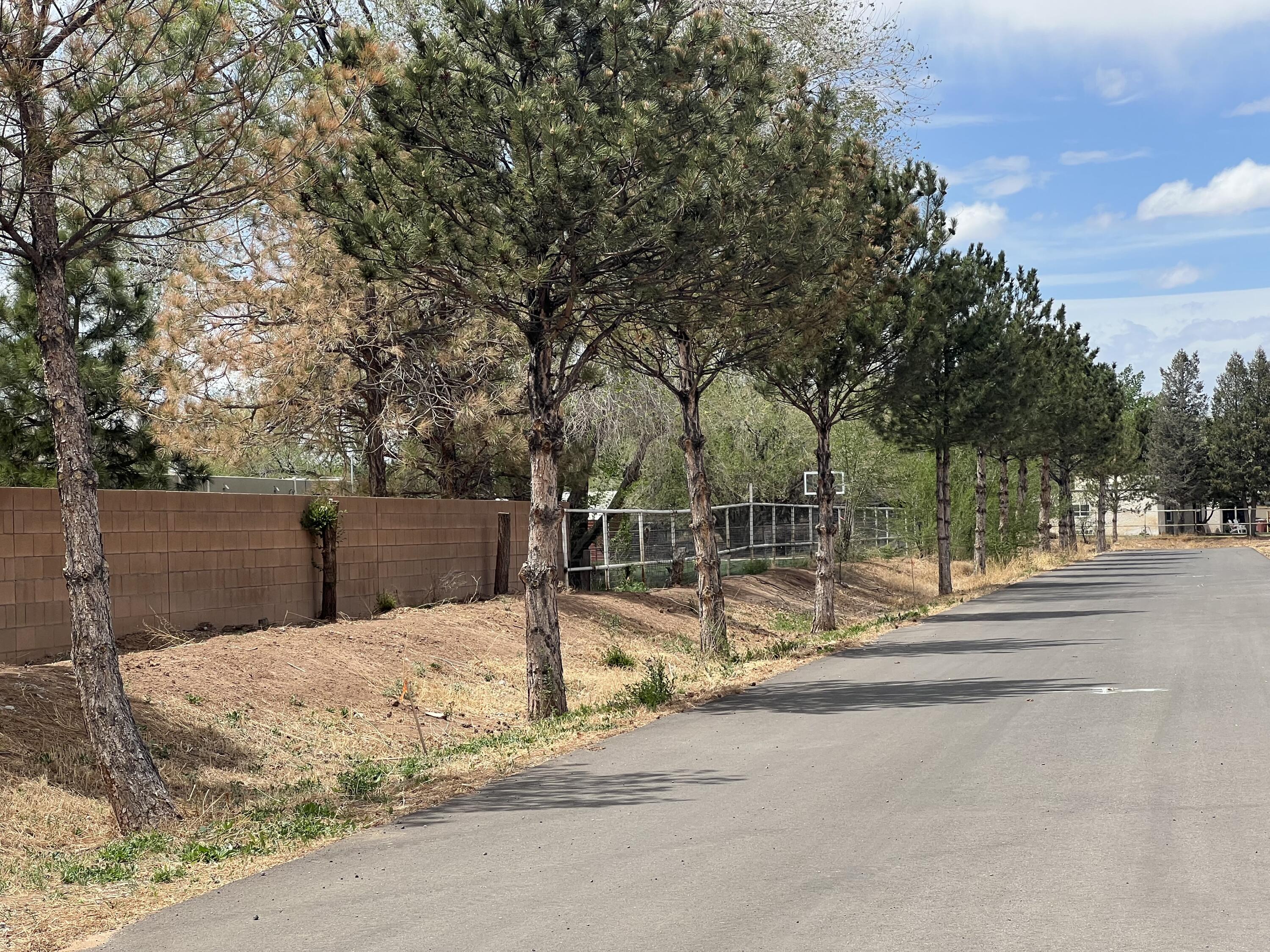420 Pueblito Lane, Corrales, New Mexico image 10