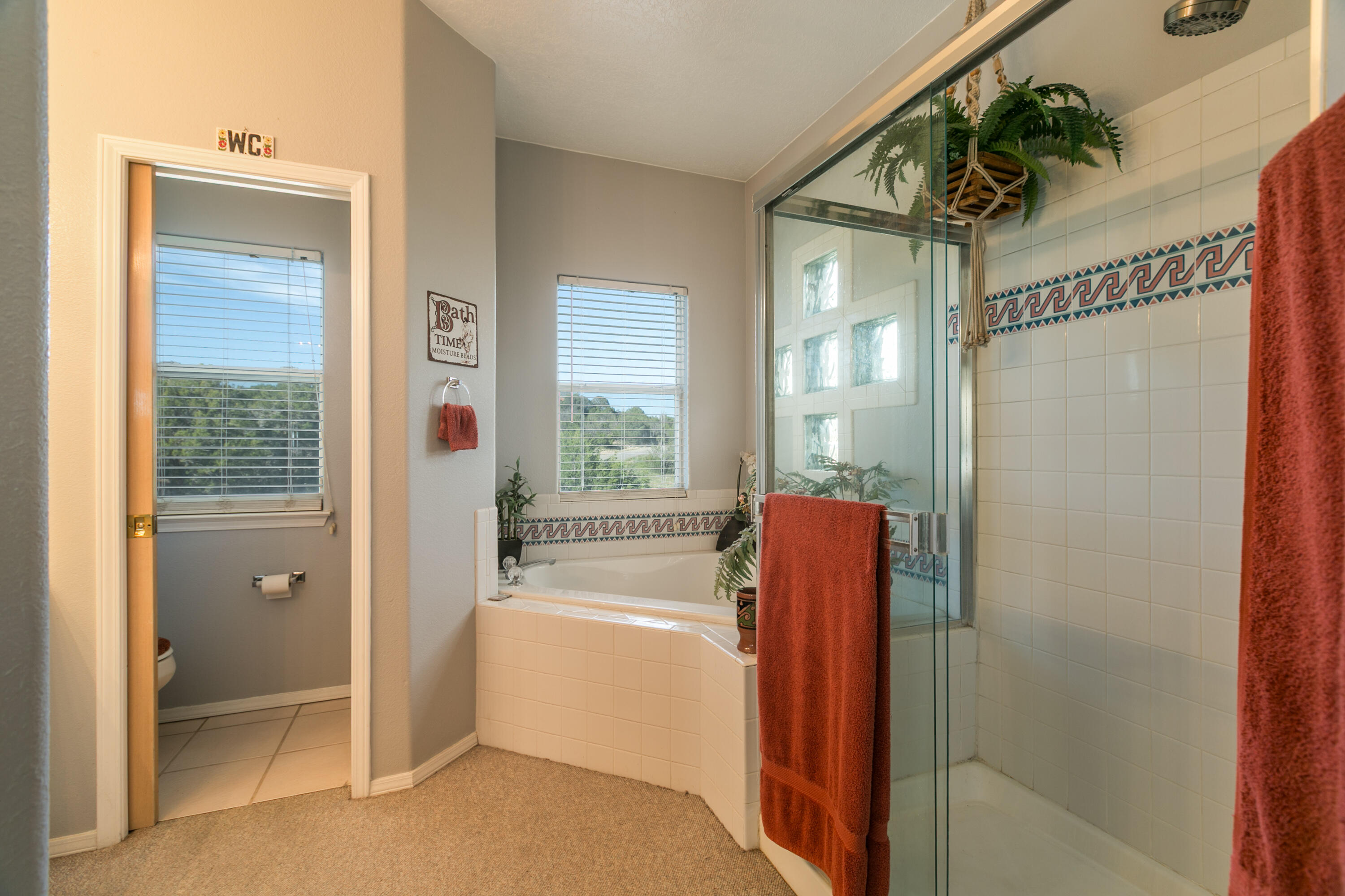 15 Thunder Mountain Road, Edgewood, New Mexico image 32