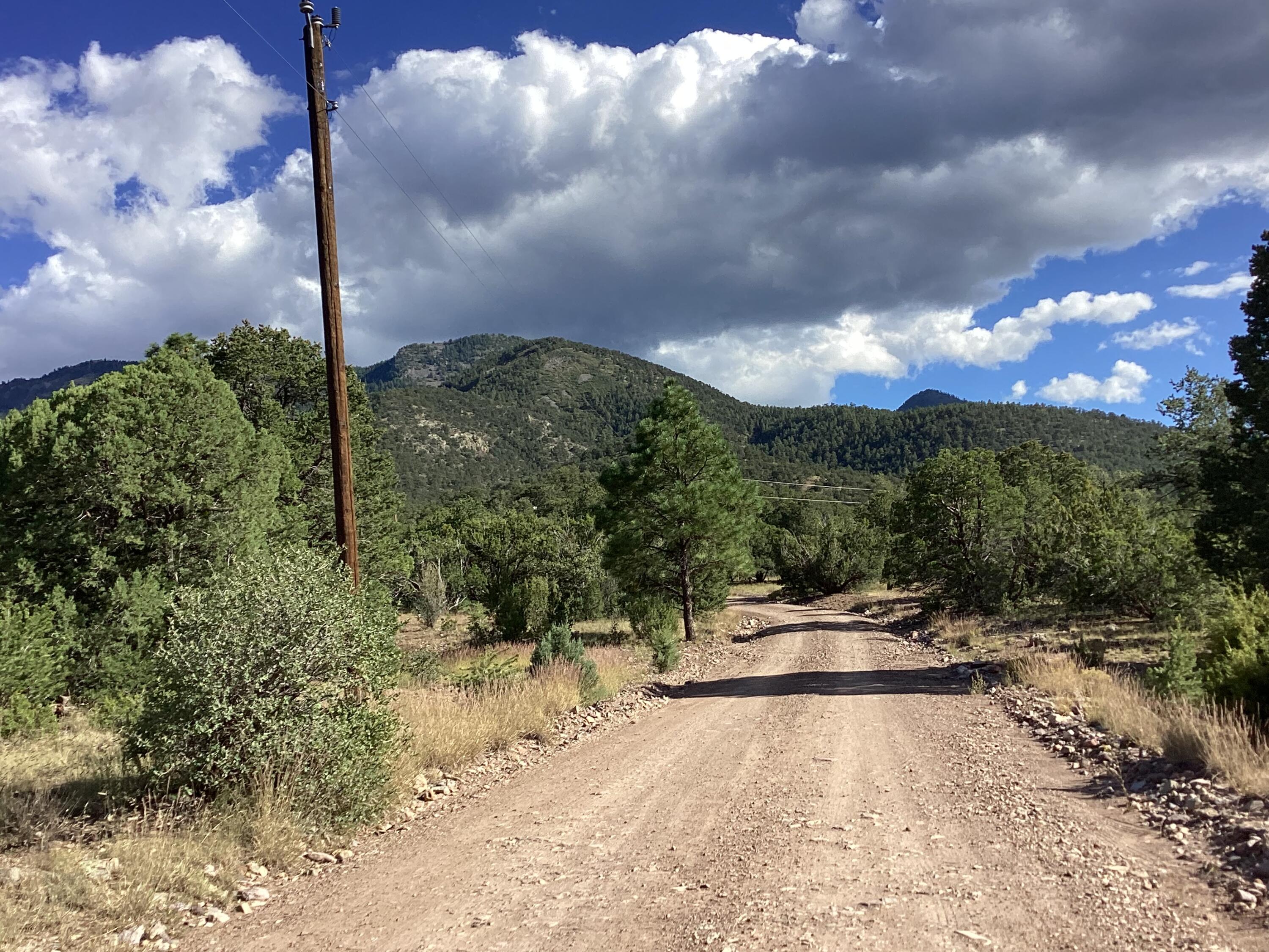 19.81 AC Lower Patterson Canyon, Magdalena, New Mexico image 2