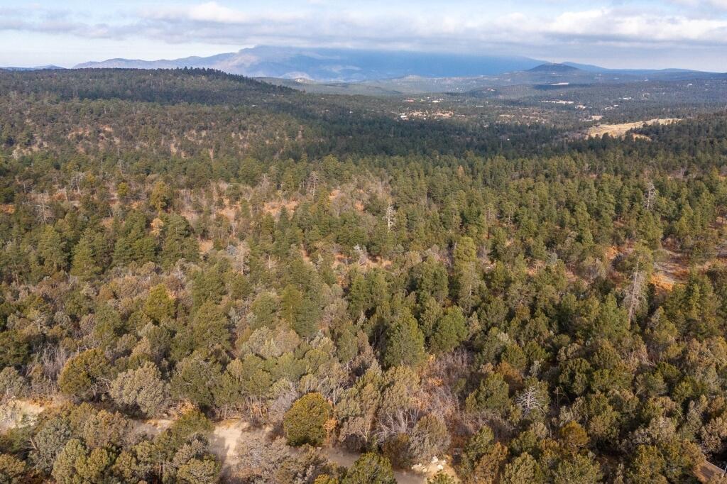 7 Speis Road, Tijeras, New Mexico image 18