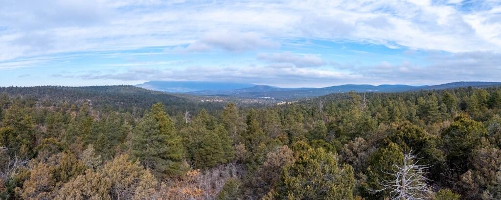 7 Speis Road, Tijeras, New Mexico image 25