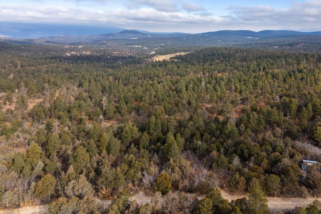 7 Speis Road, Tijeras, New Mexico image 17