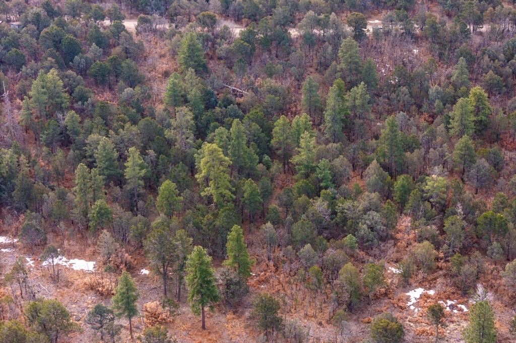 7 Speis Road, Tijeras, New Mexico image 22