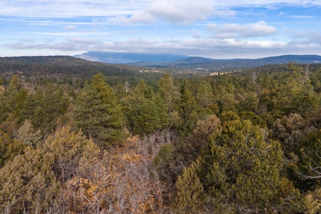 7 Speis Road, Tijeras, New Mexico image 24