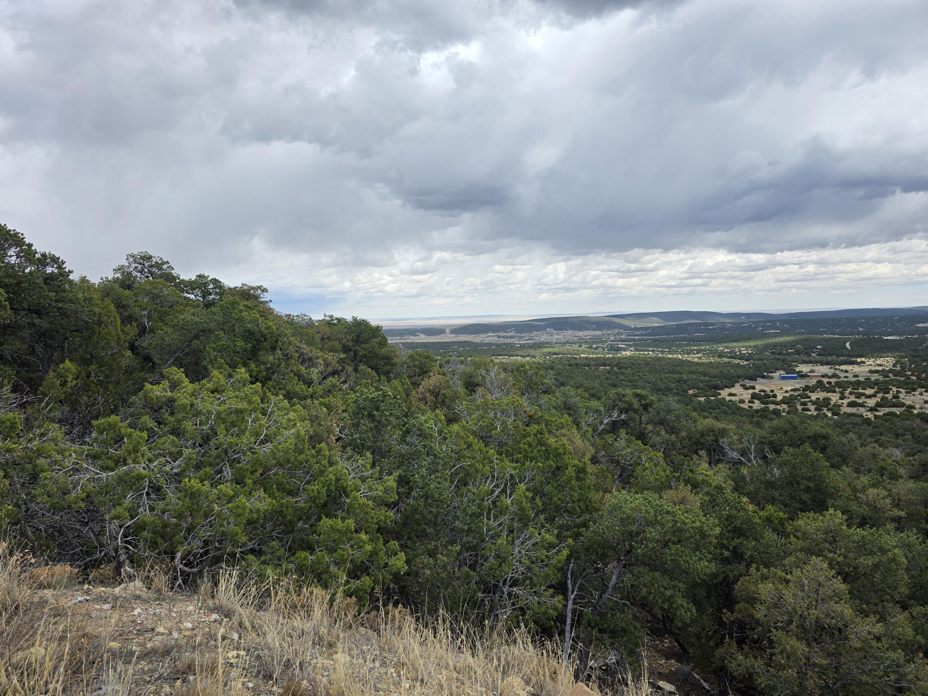 196 Via Sedillo Road