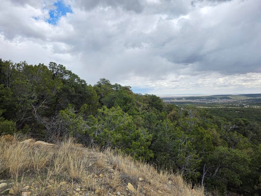 196 VIA SEDILLO, TIJERAS, NM 87059 - Image fc81a1ba2a8138b04c8cc13a909b1e21/3105517054