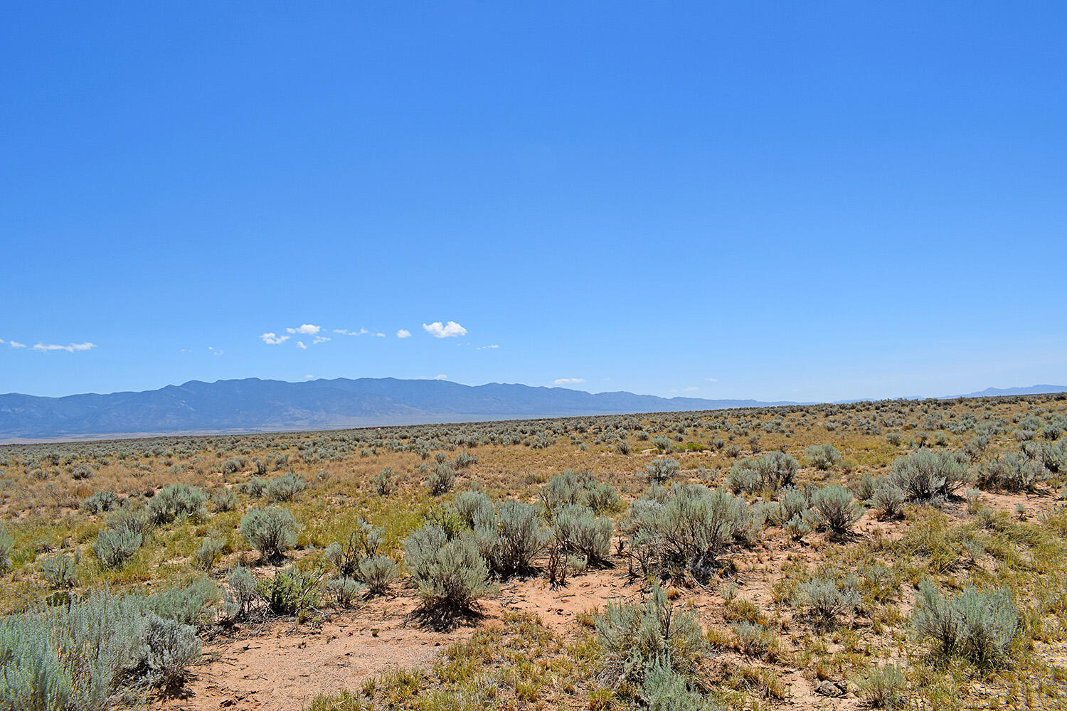 Lot 97 Rancho Rio Grande #13E, Los Lunas, New Mexico image 8