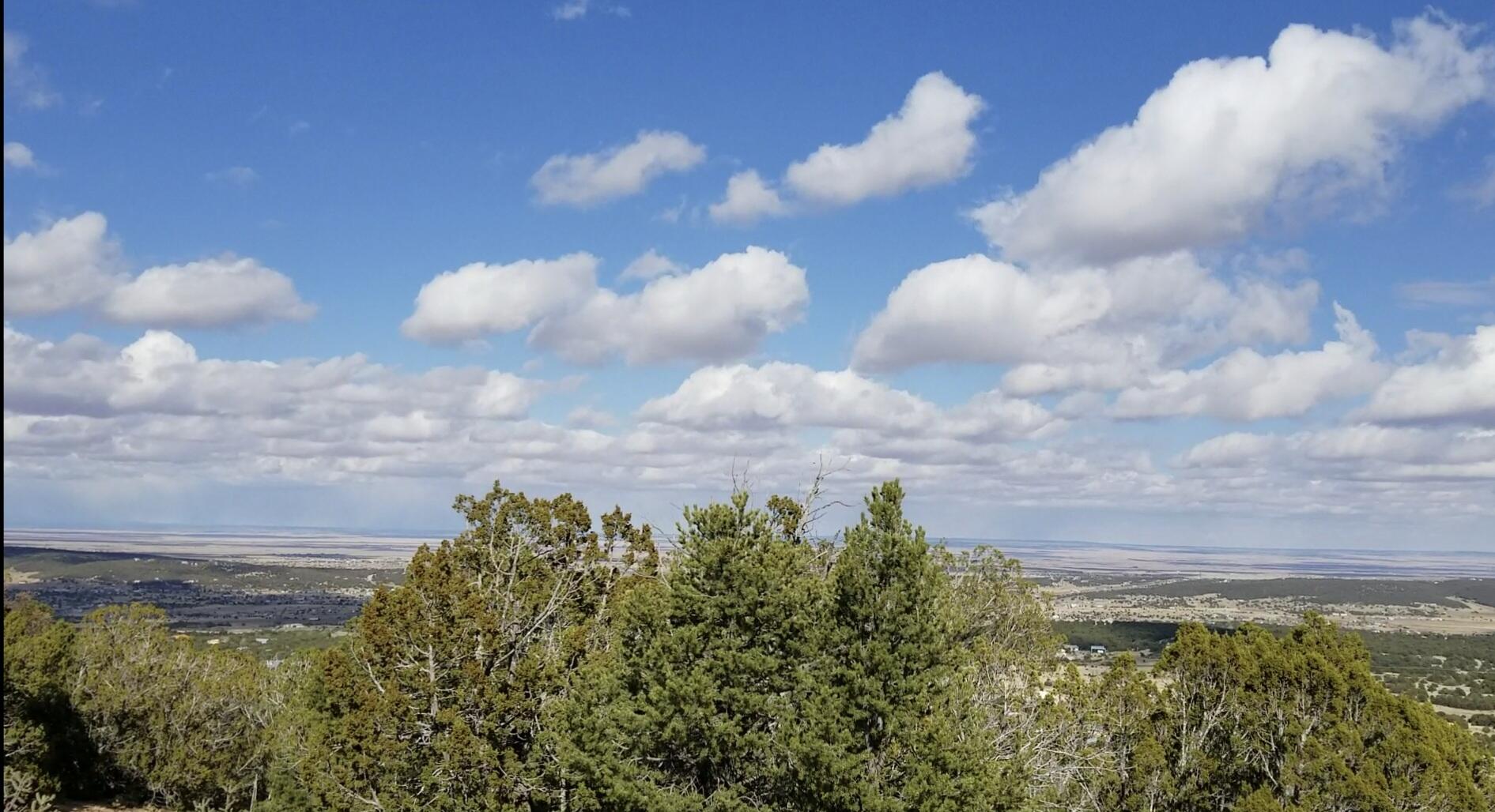 84 Sandia Mountain Ranch Drive, Tijeras, New Mexico image 19