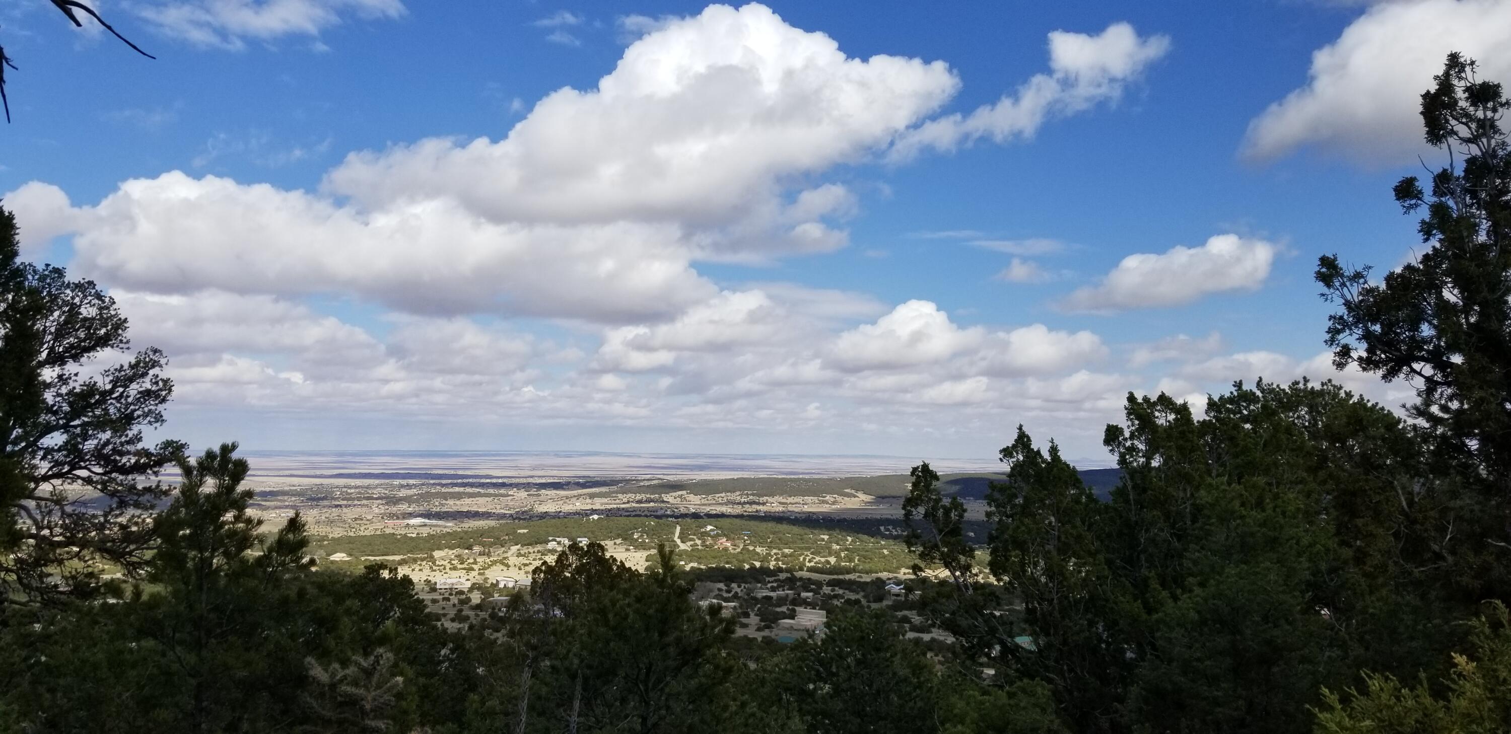 84 Sandia Mountain Ranch Drive, Tijeras, New Mexico image 18