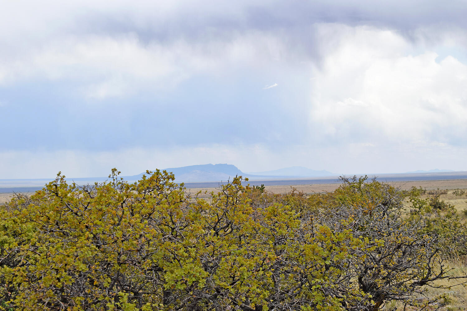 Lot 40 Sunset Vista Road, San Antonio, New Mexico image 43