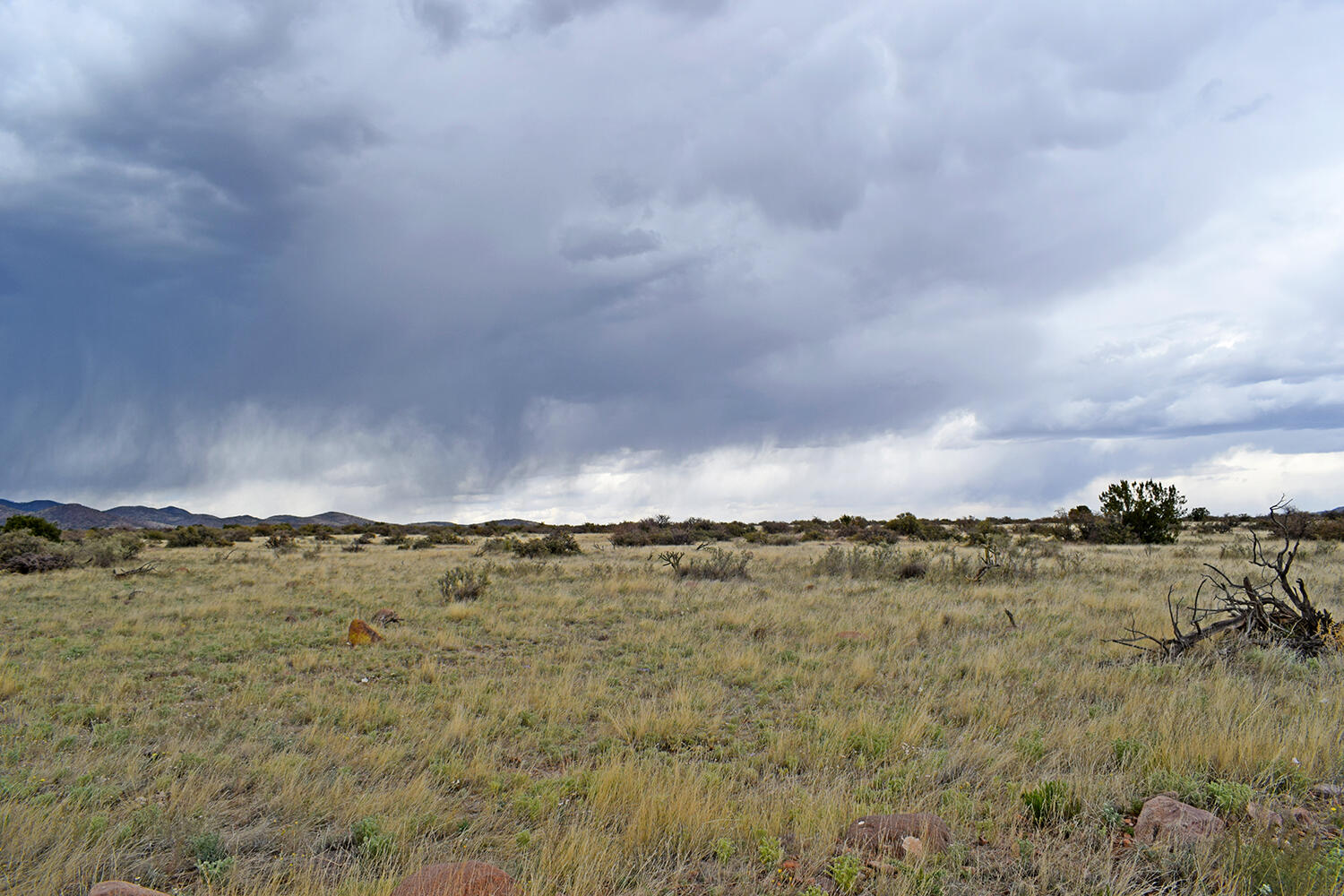 Lot 40 Sunset Vista Road, San Antonio, New Mexico image 10