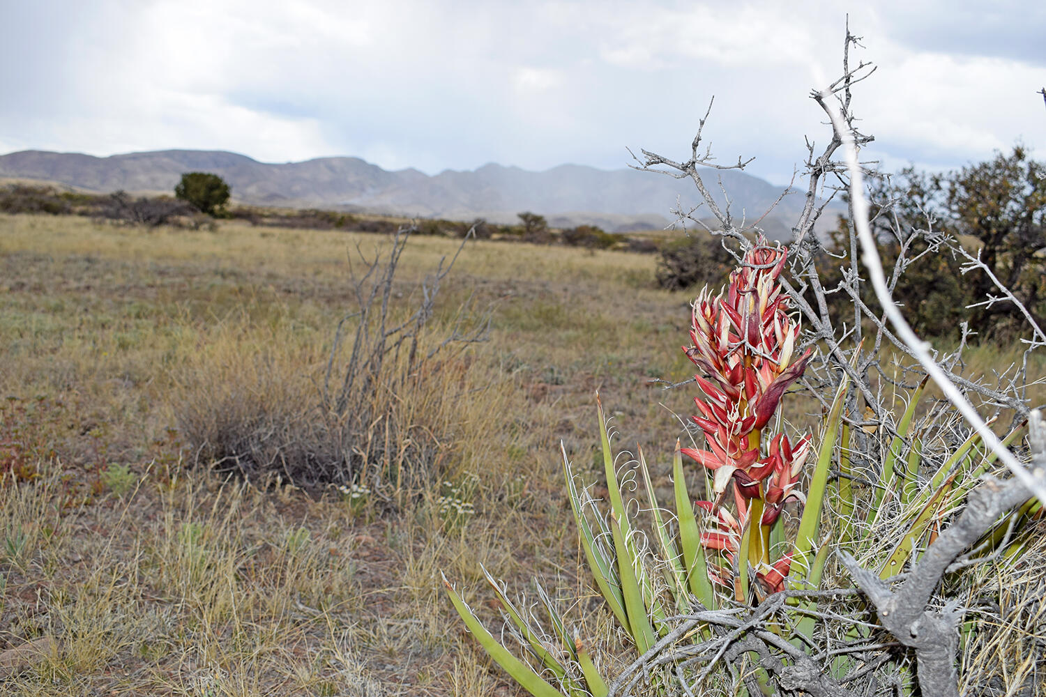 Lot 40 Sunset Vista Road, San Antonio, New Mexico image 31