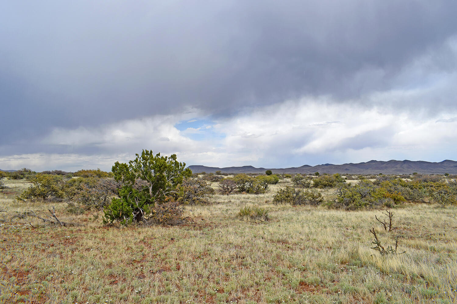 Lot 40 Sunset Vista Road, San Antonio, New Mexico image 44