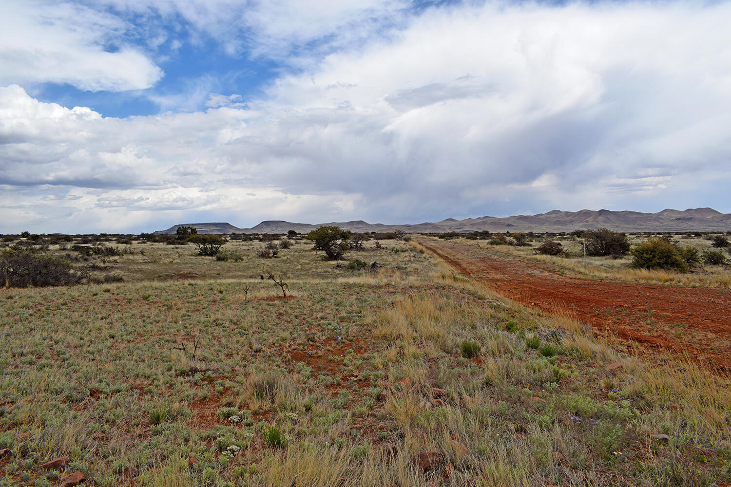 Lot 40 Sunset Vista Road, San Antonio, New Mexico image 5