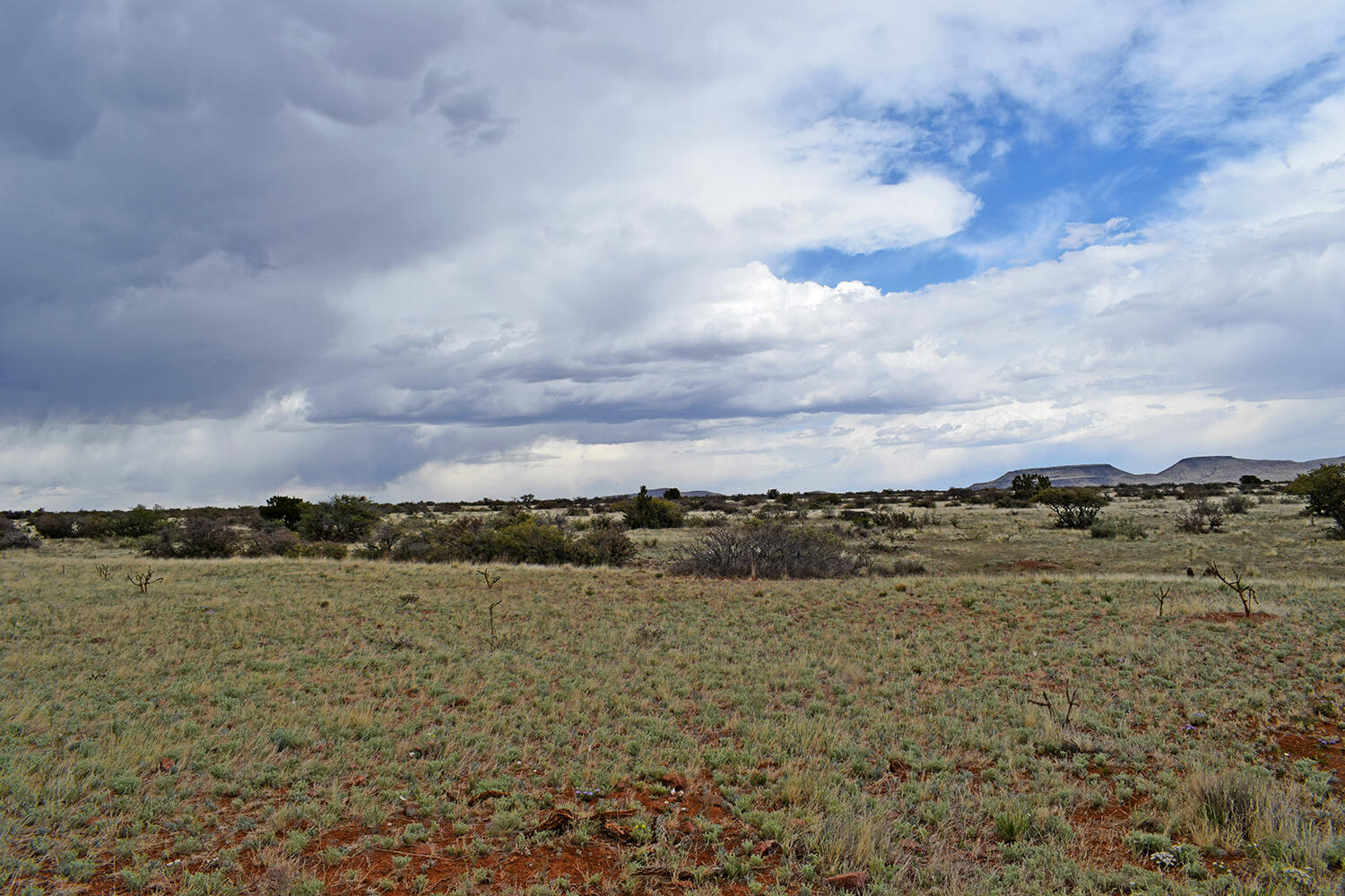 Lot 40 Sunset Vista Road, San Antonio, New Mexico image 6