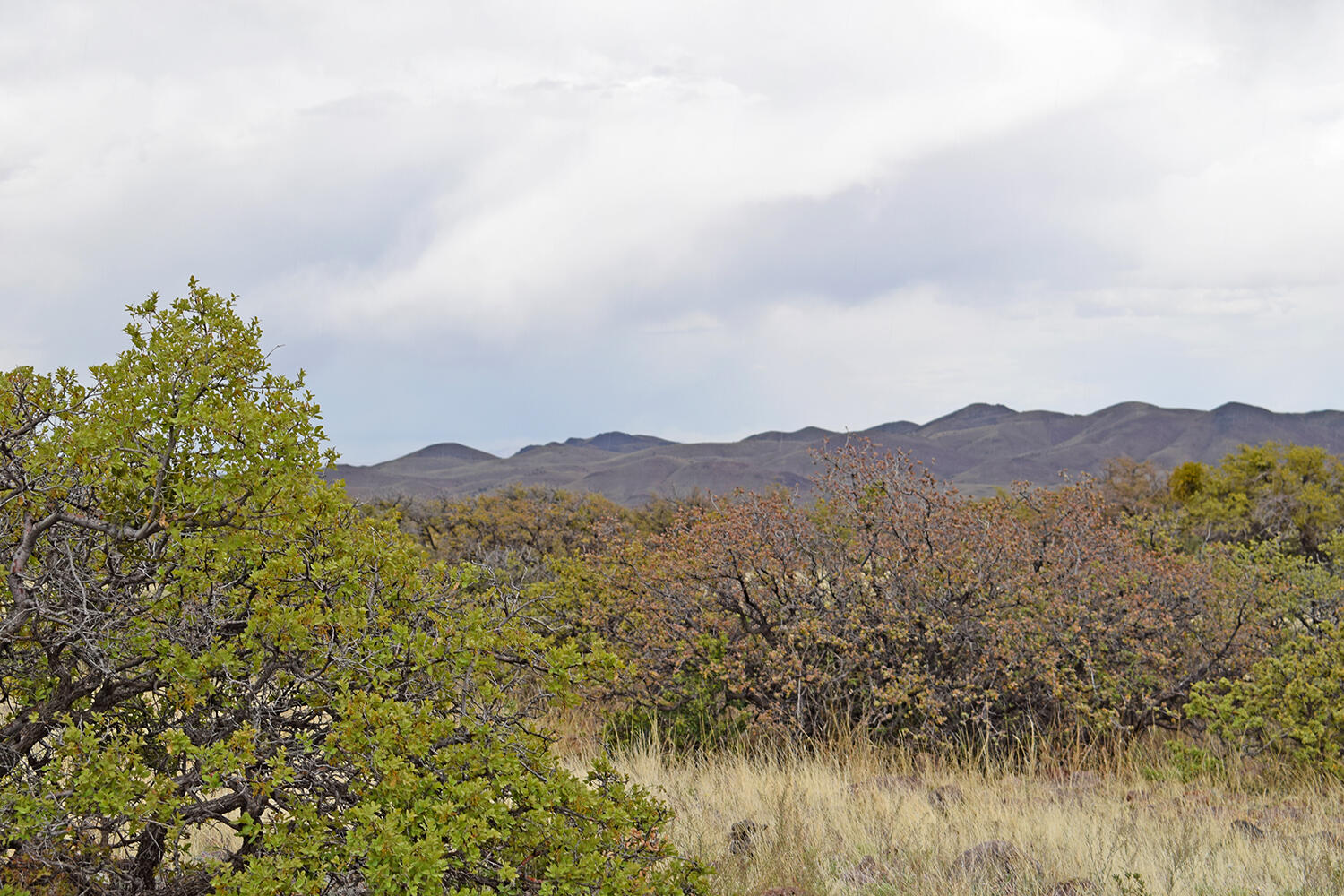 Lot 40 Sunset Vista Road, San Antonio, New Mexico image 41