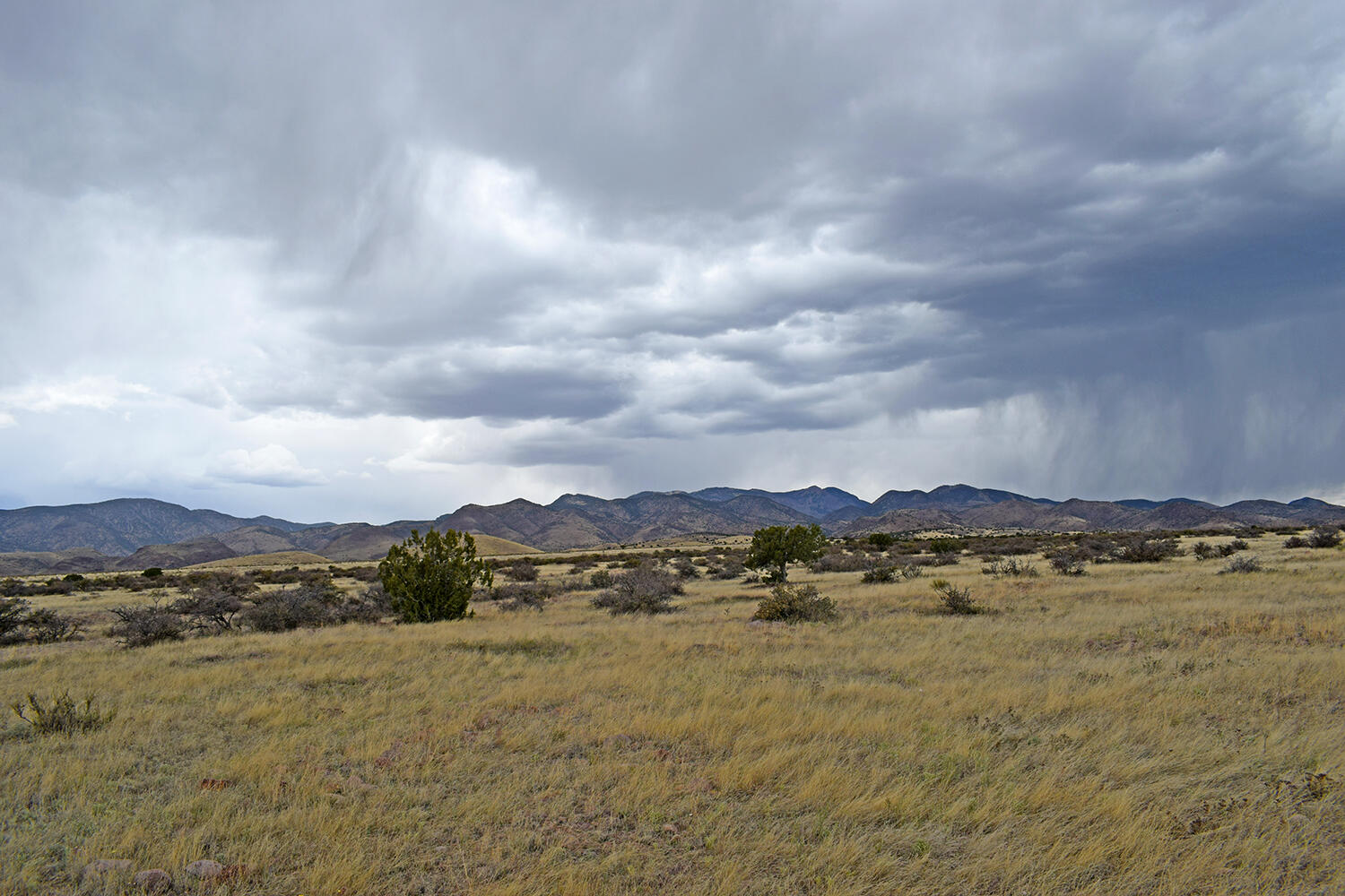 Lot 40 Sunset Vista Road, San Antonio, New Mexico image 15