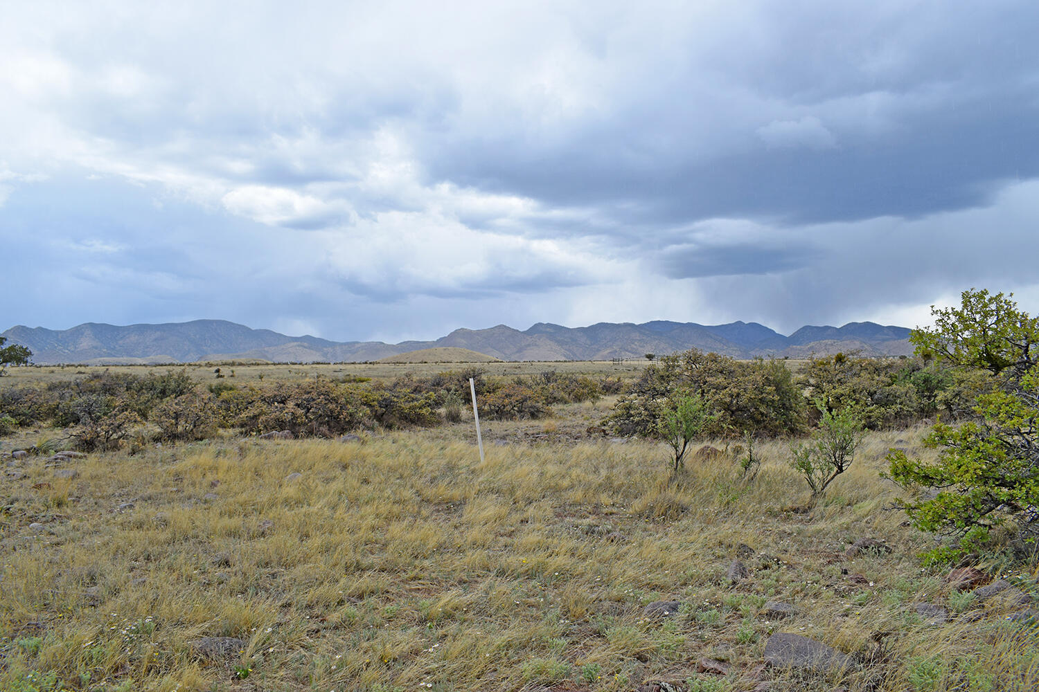 Lot 40 Sunset Vista Road, San Antonio, New Mexico image 39